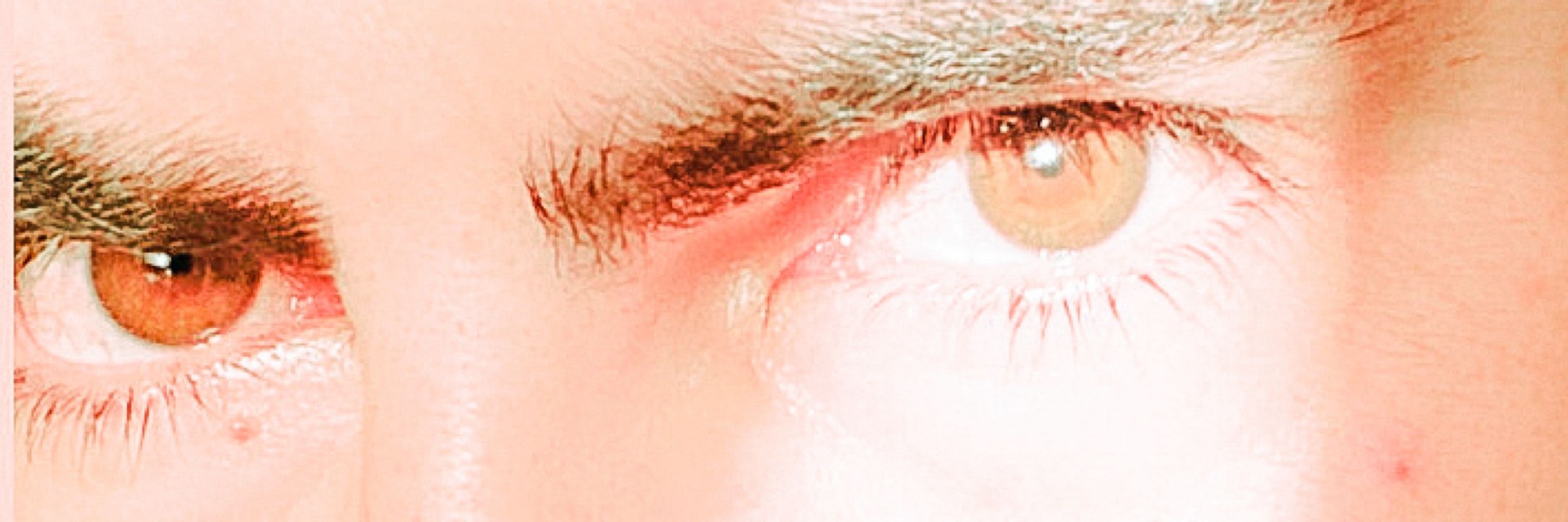 Jeipi