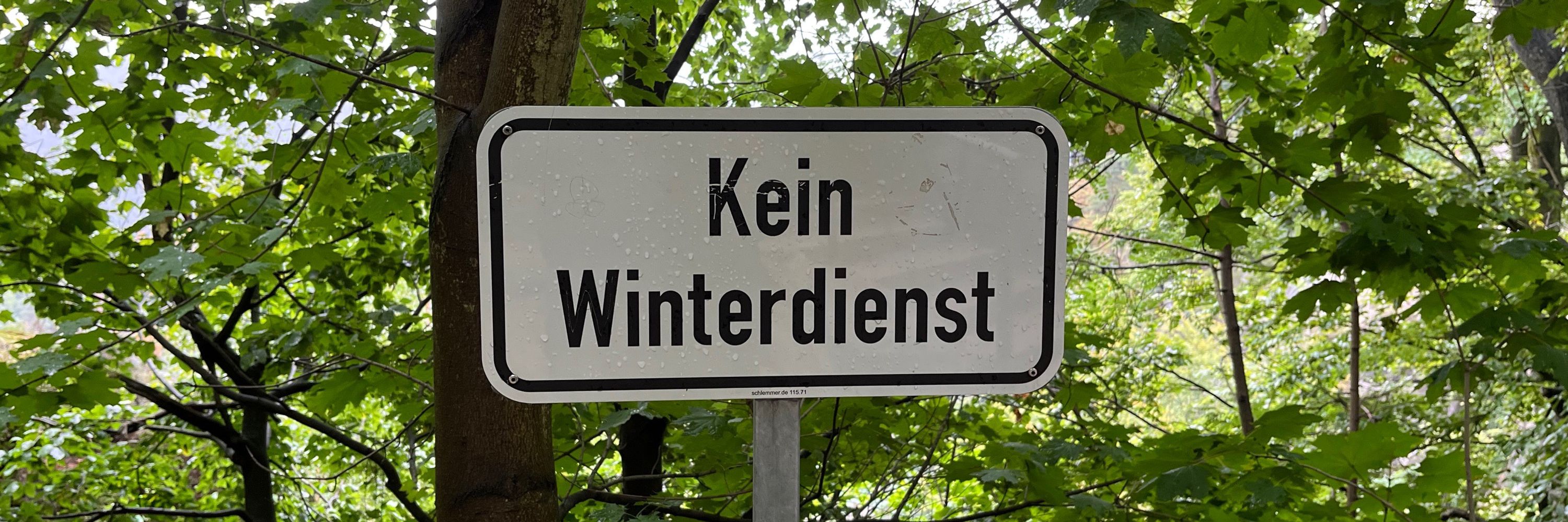 Rainer Winter 