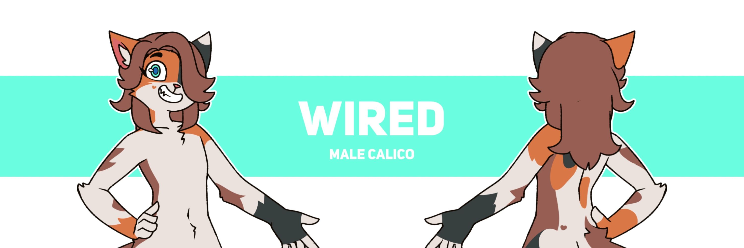 Wired