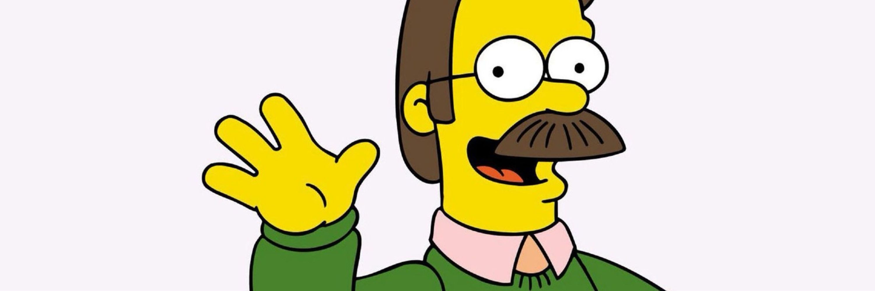 Ned Flanders 😊