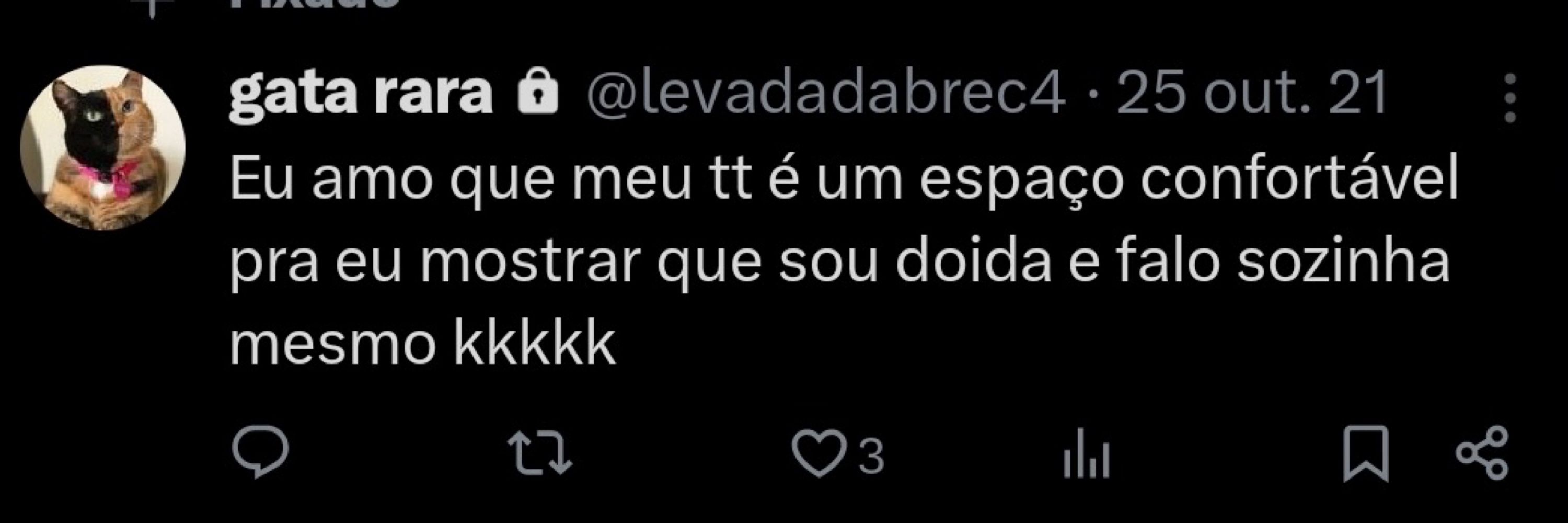 levadadabrec4