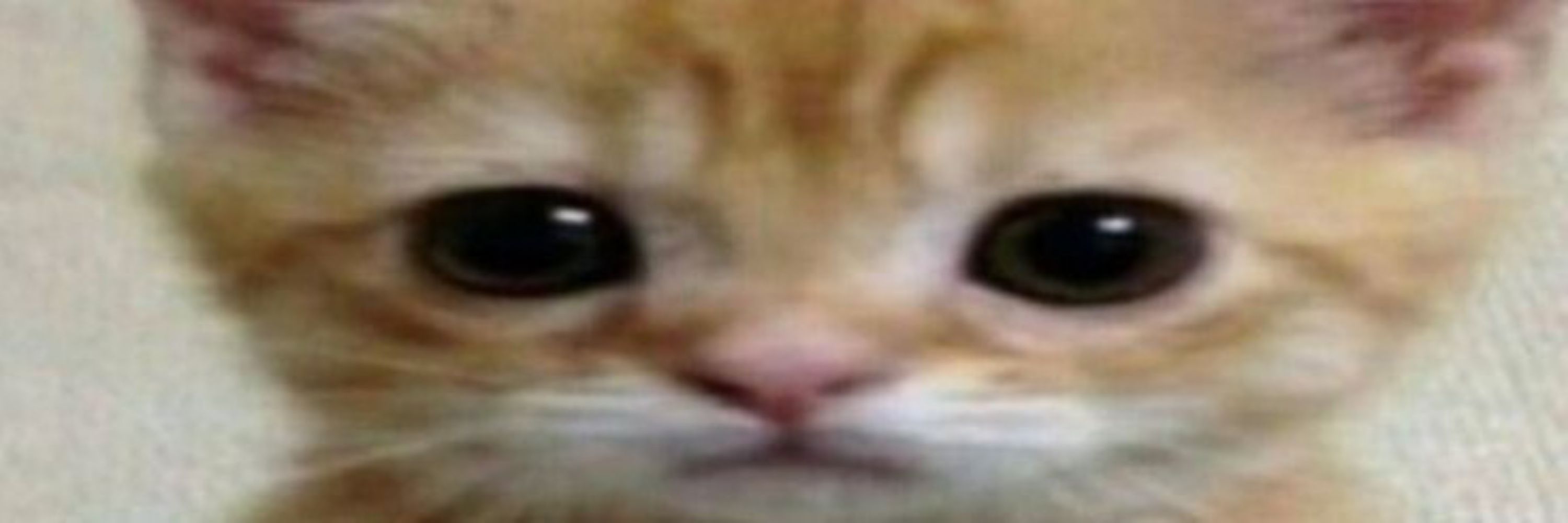 ☆