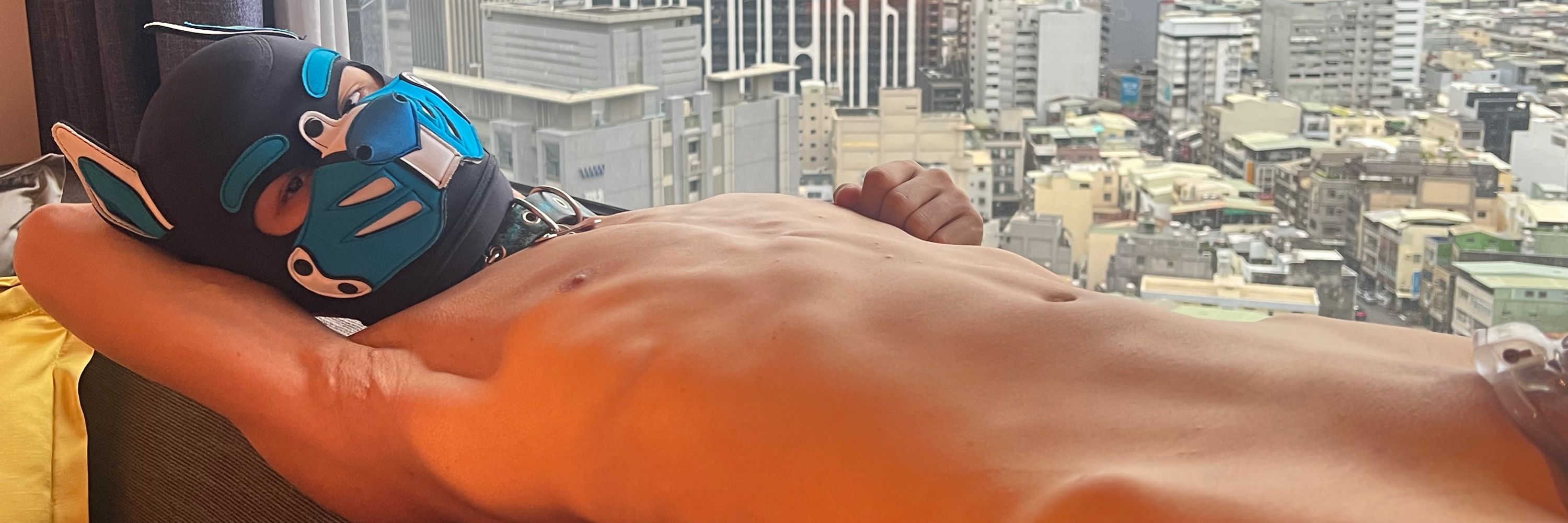 蛋捲