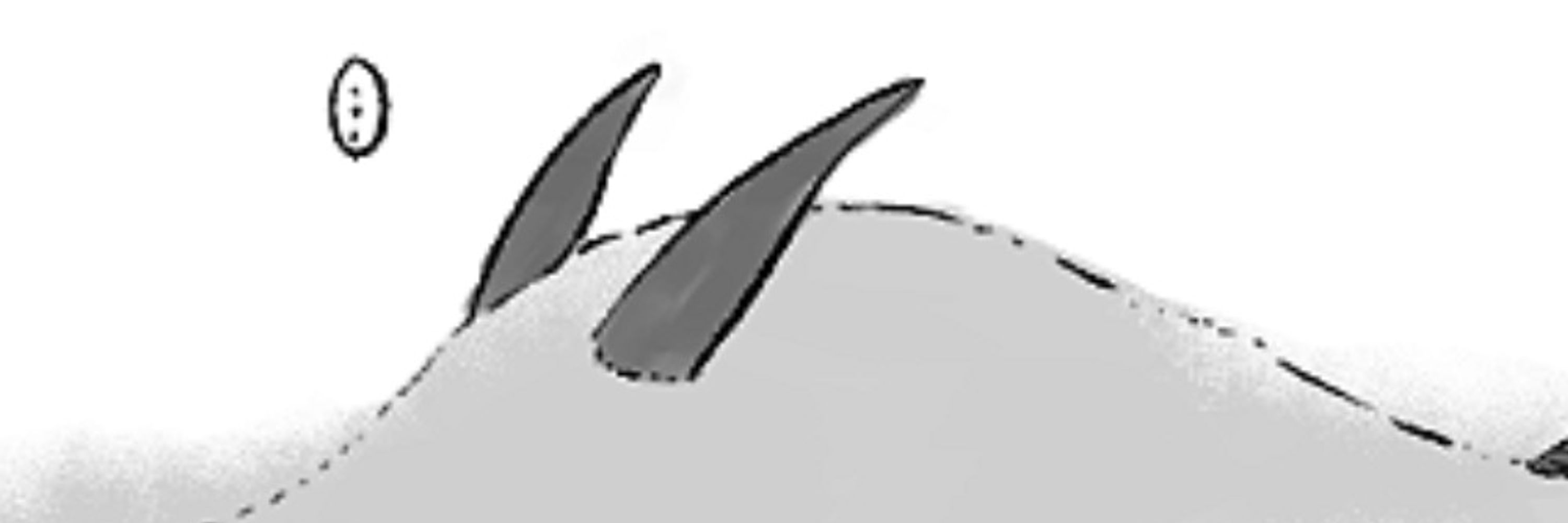 ばいお