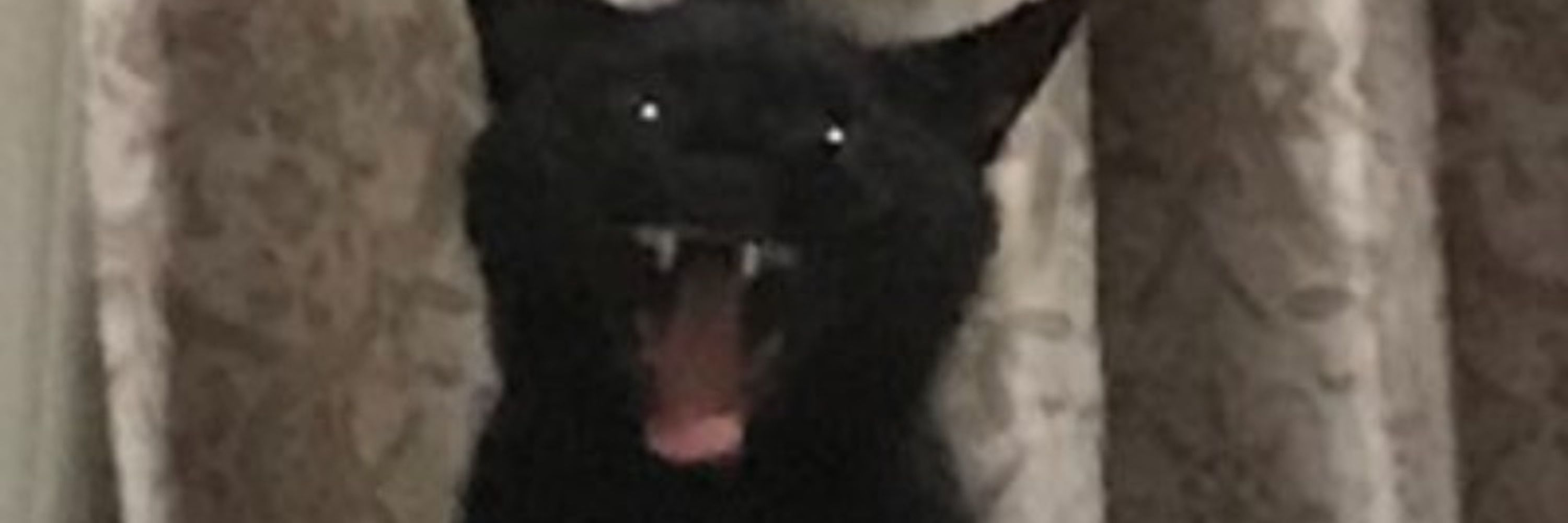 malileli