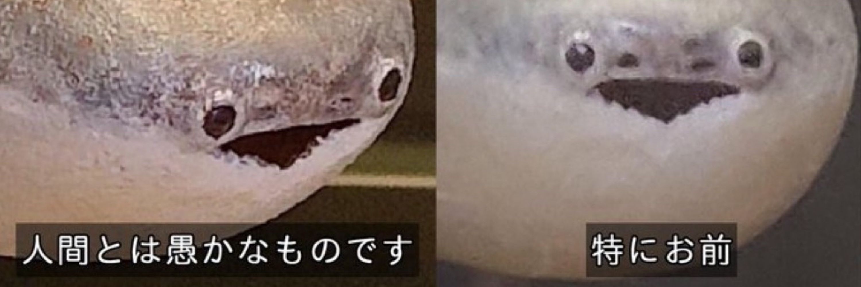 はす☄️