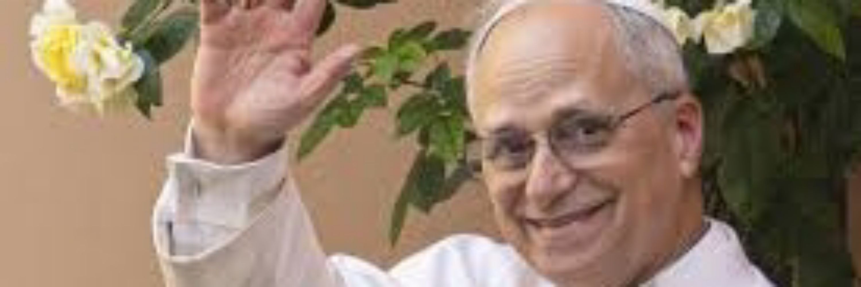 El papa León XIV