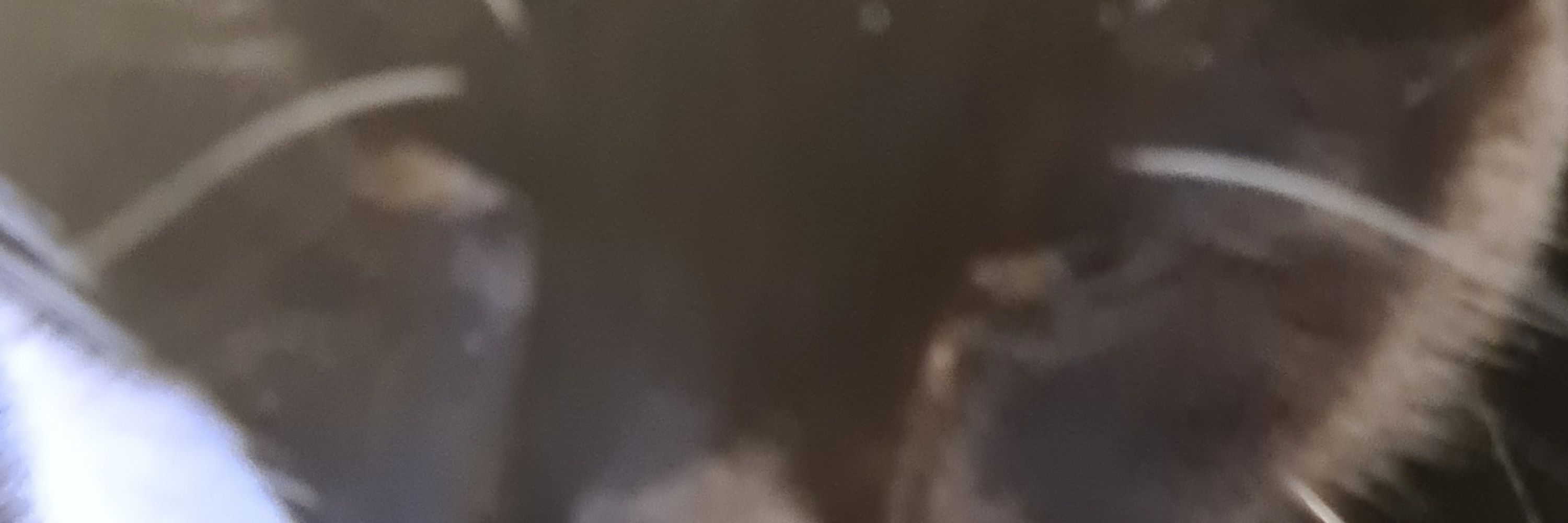 Pinsäl