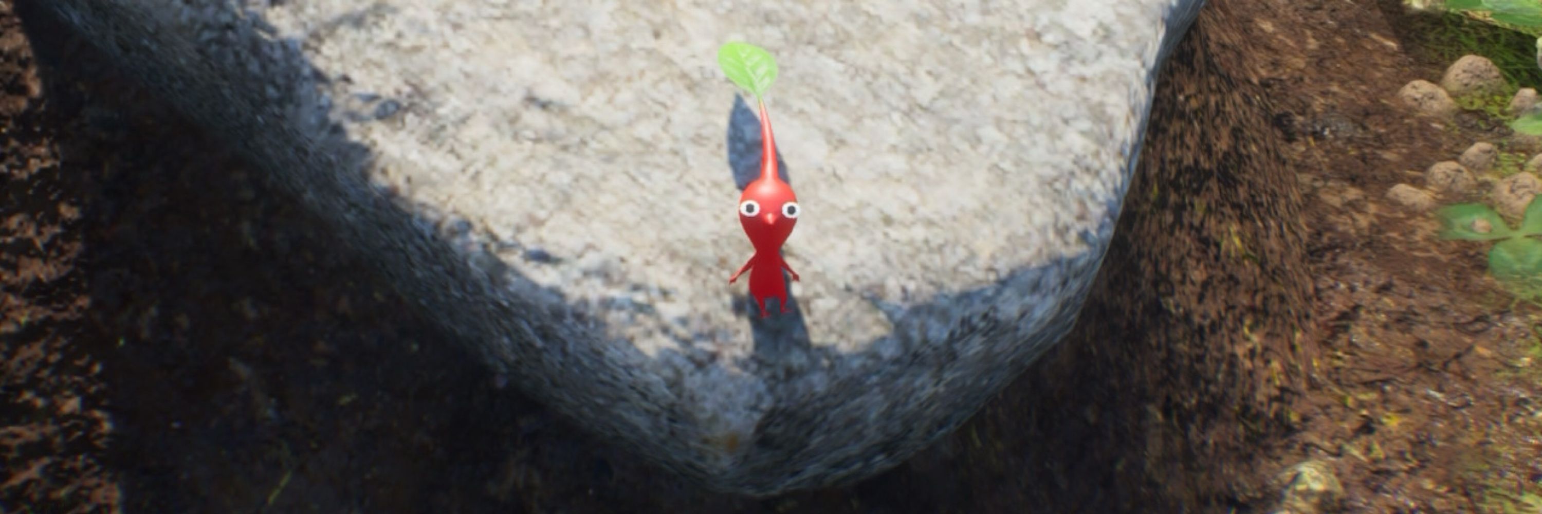 Seegoth
