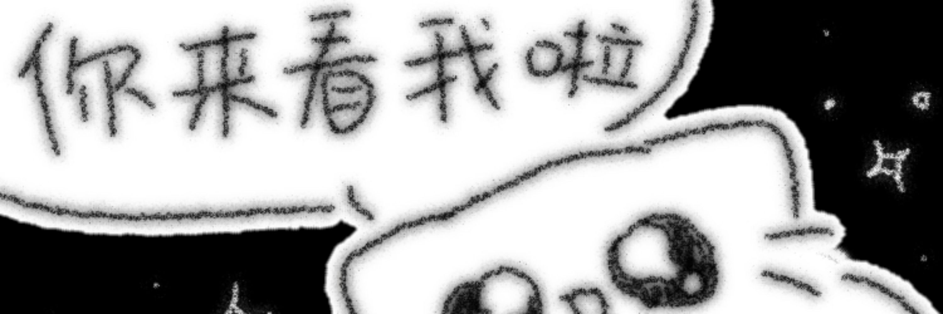 椛椛