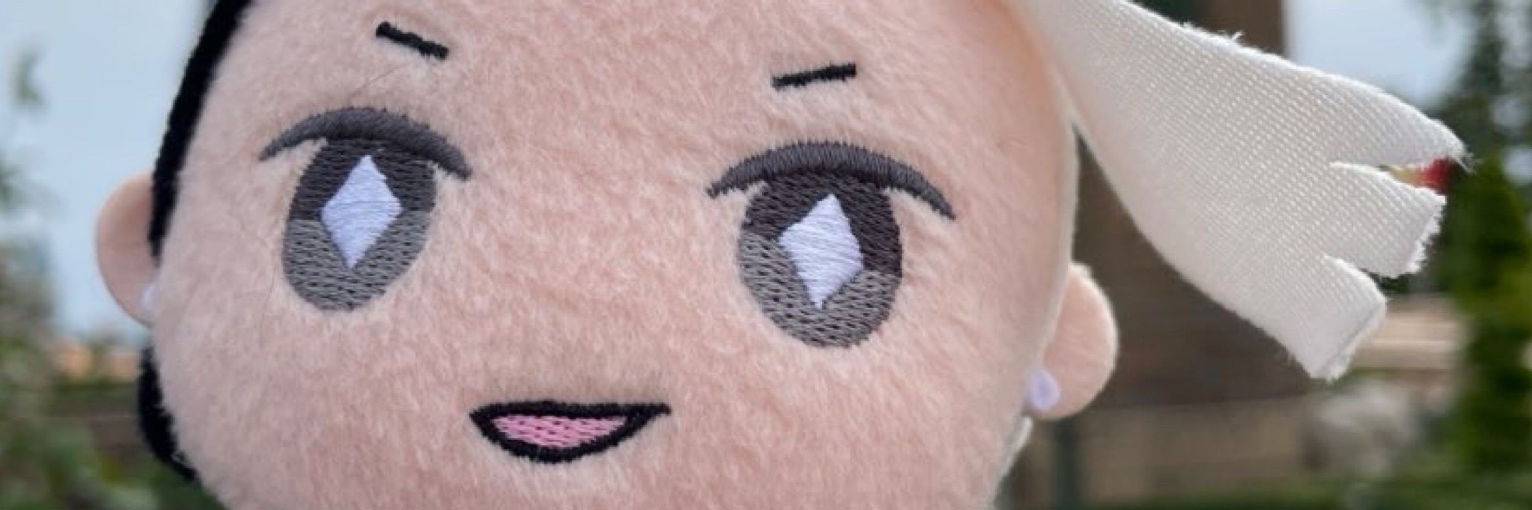 たごろ