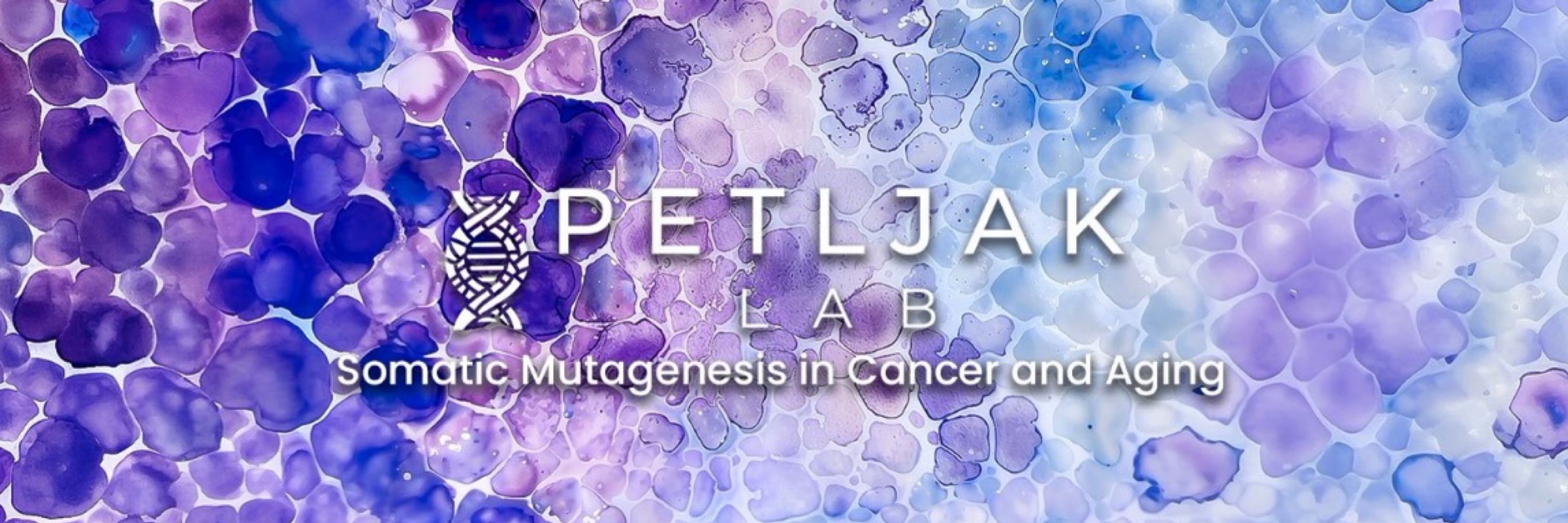 Mia Petljak