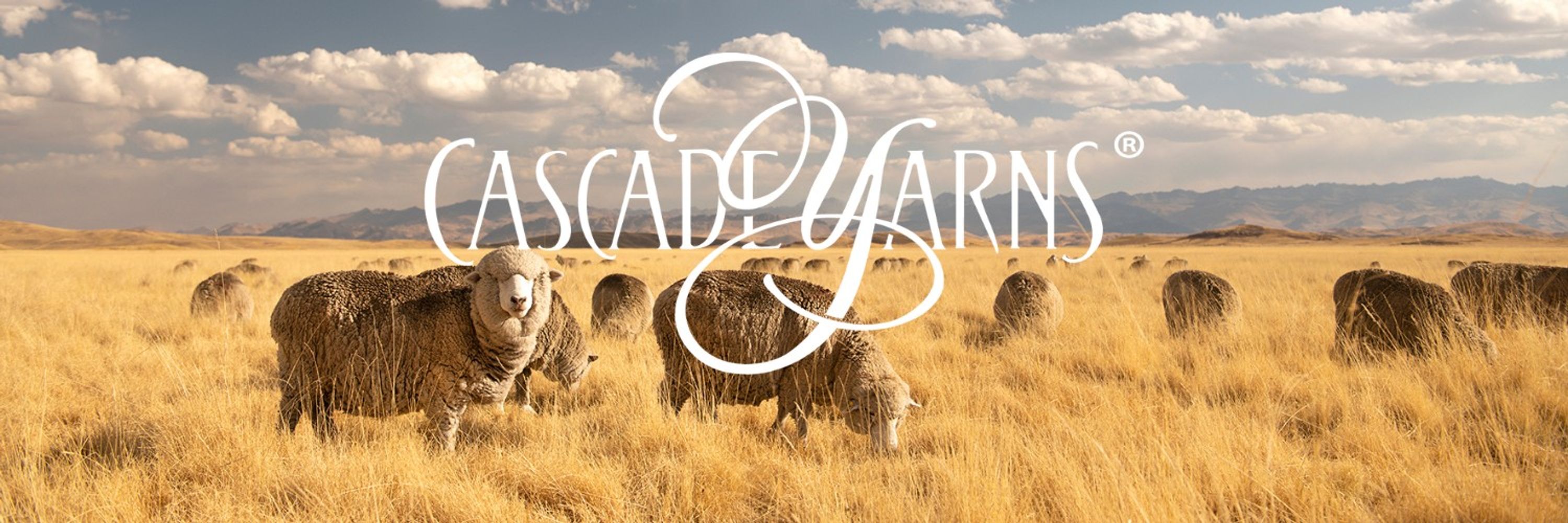 Cascade Yarns®