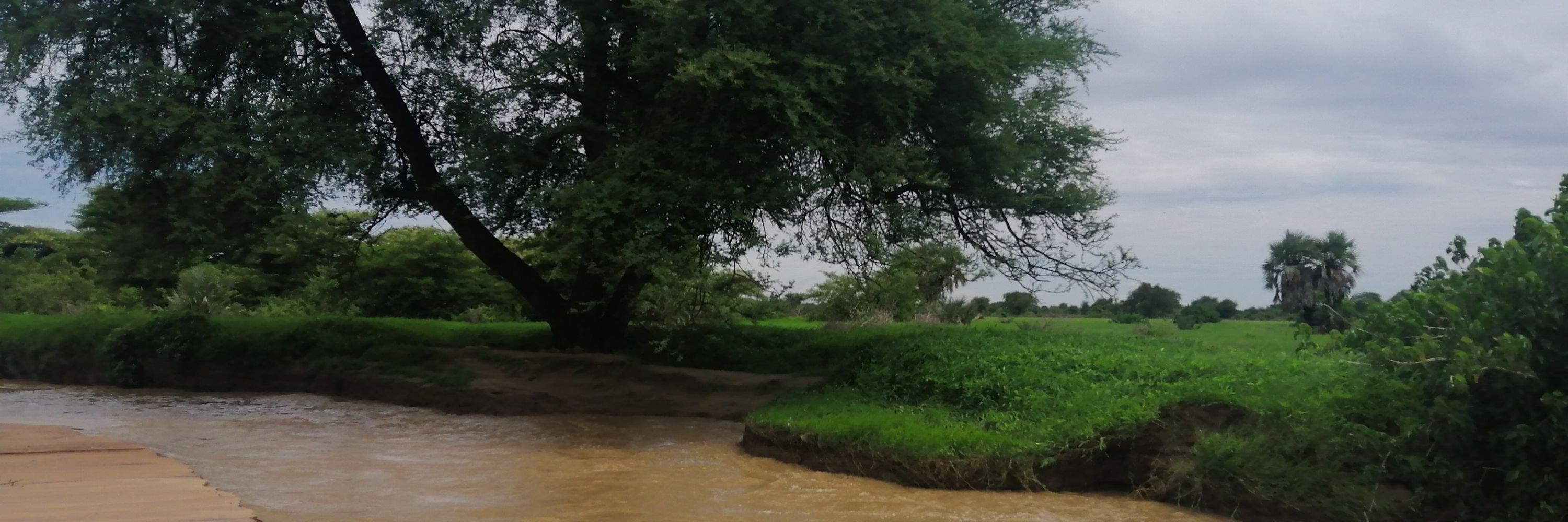 MODATHIR