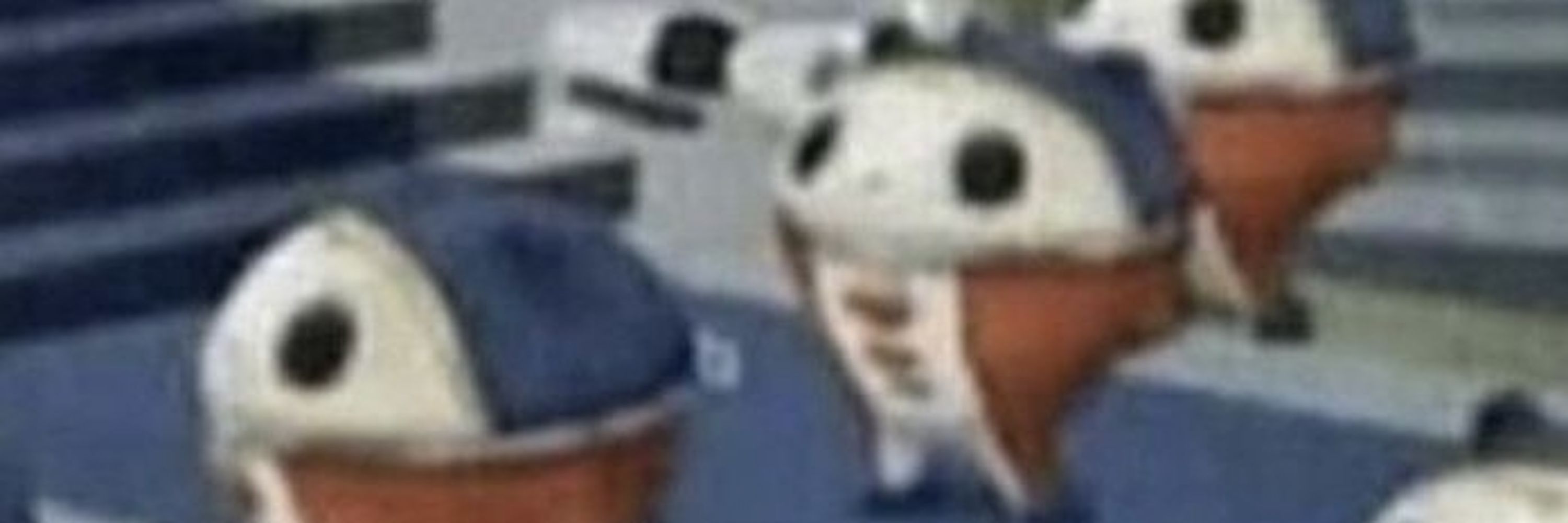 Vix