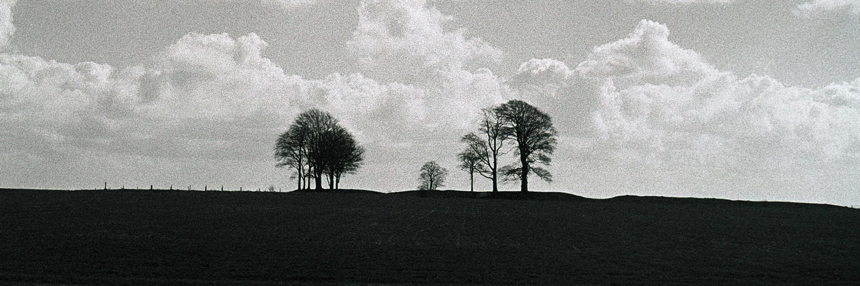 Scott Chamberlain