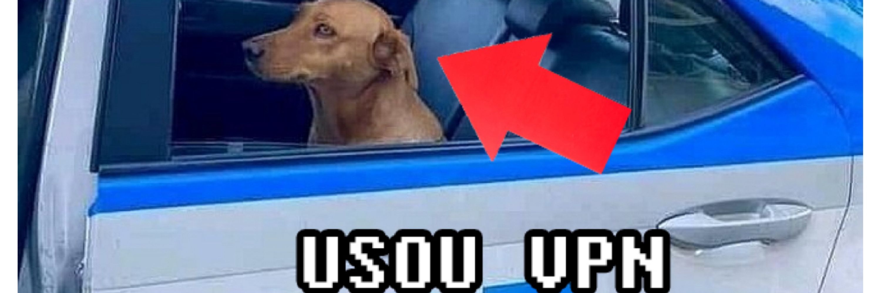 Lígia