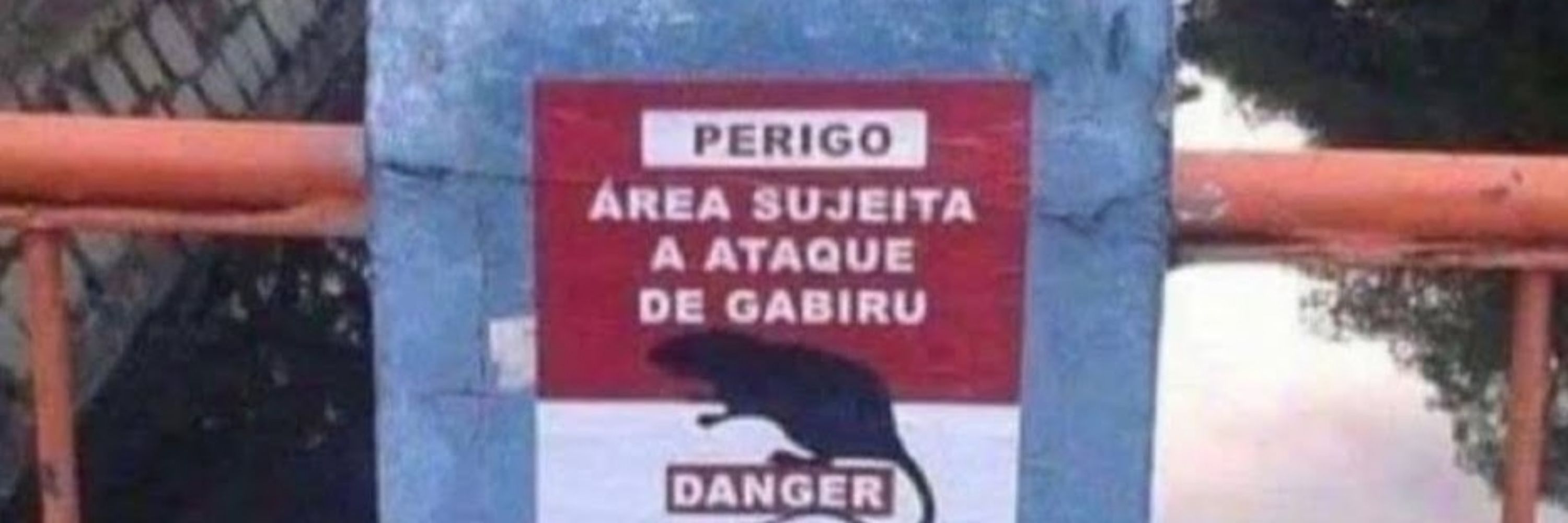 Dalba