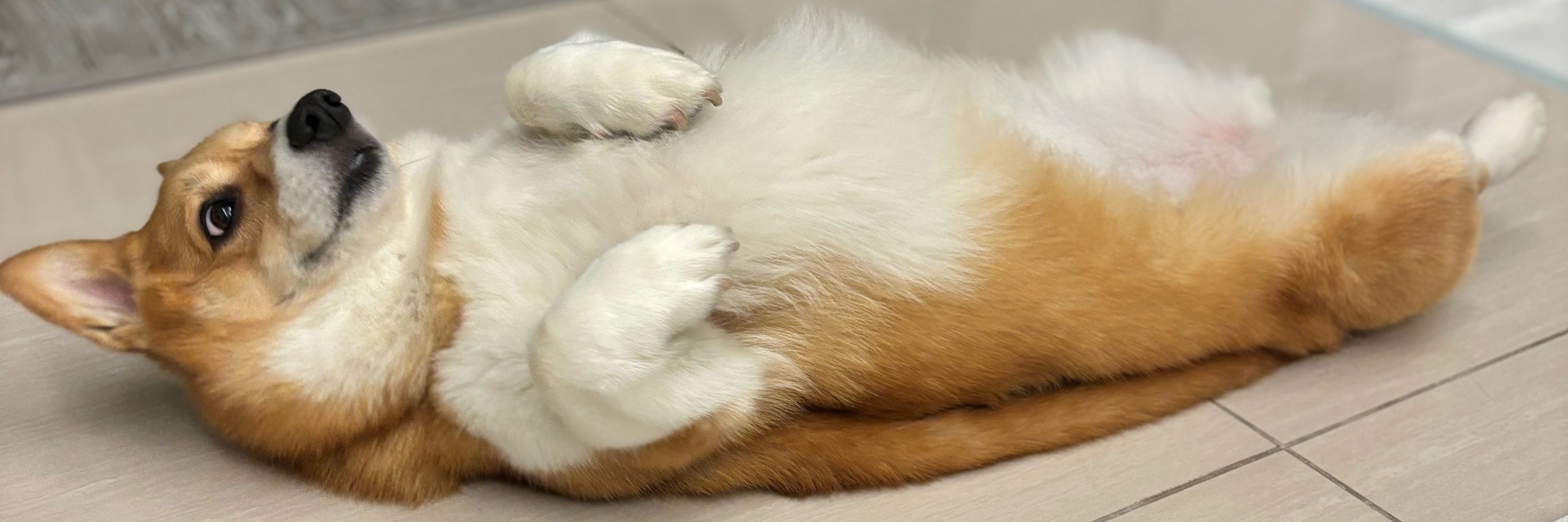 トトマ