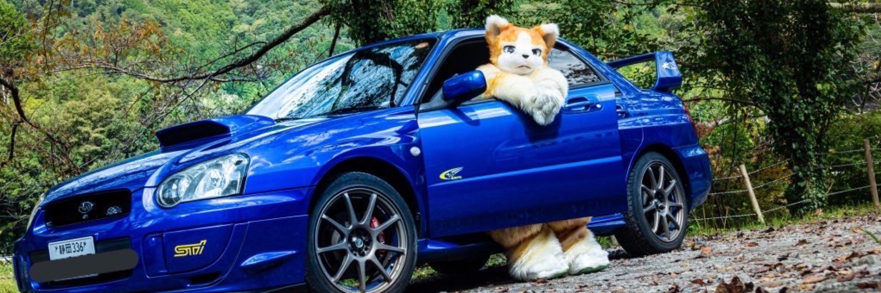 Hide@Fursuit