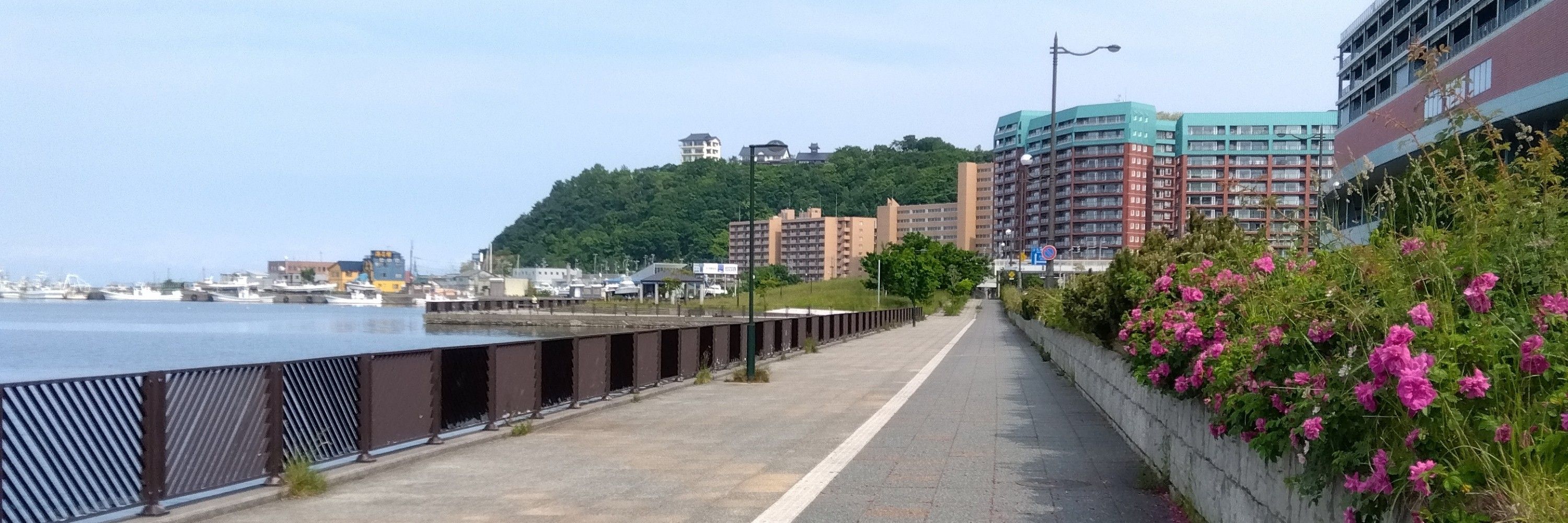 蔵