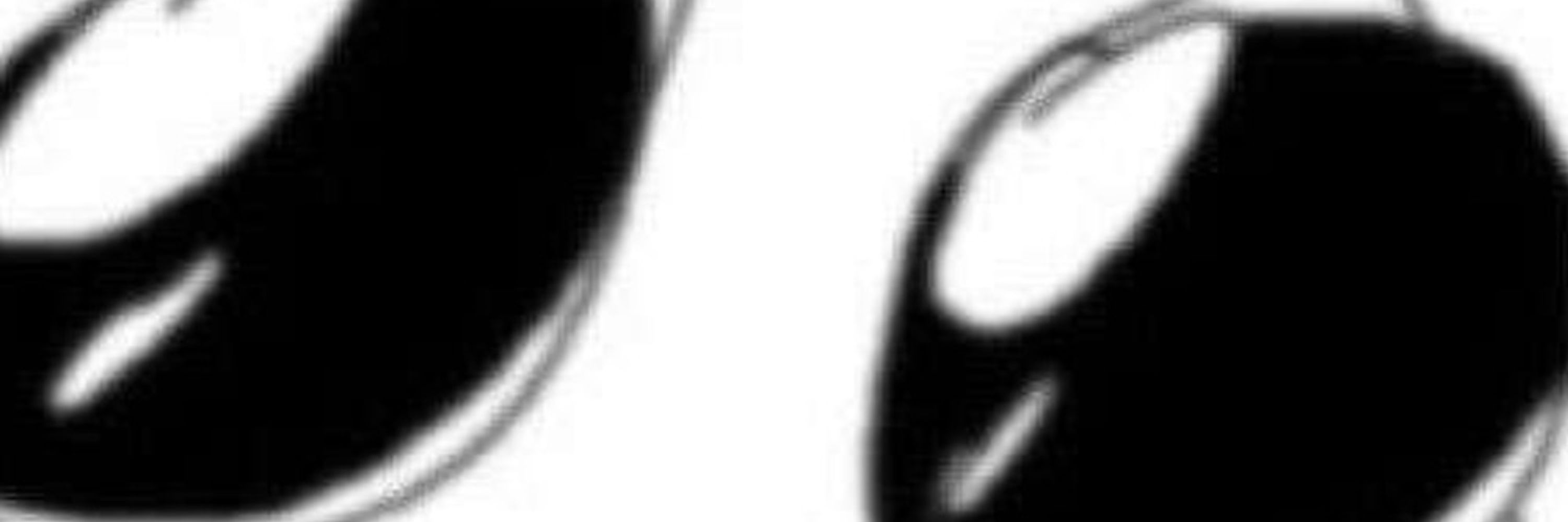 Gaze