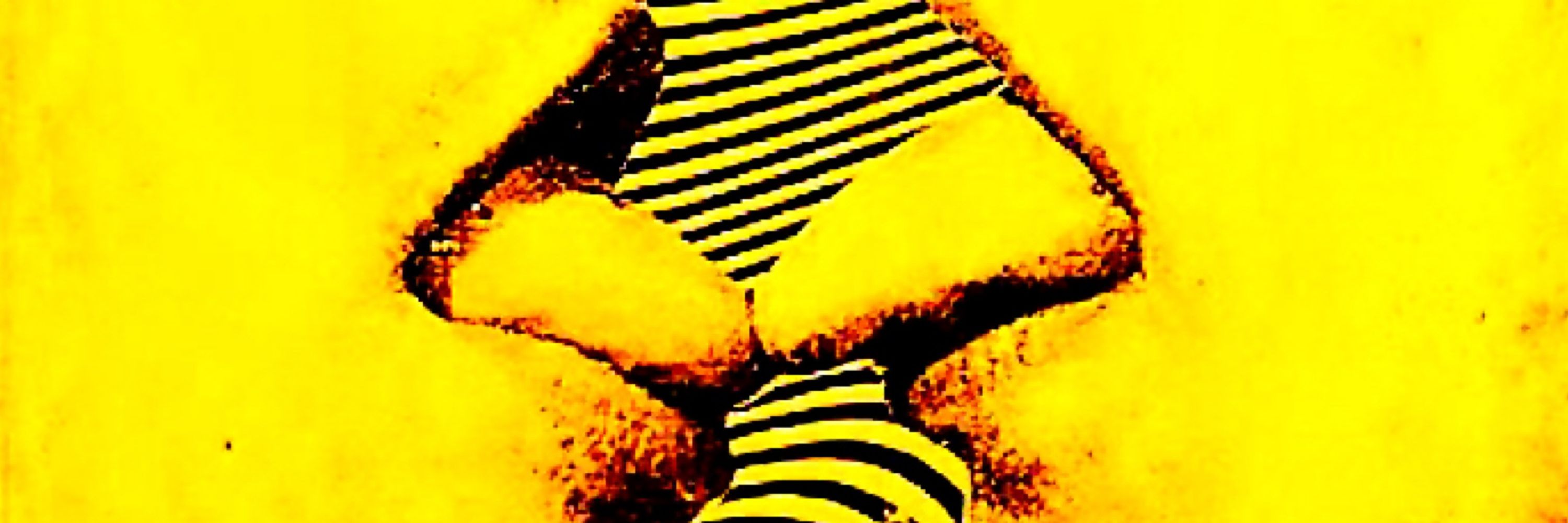 pwalm