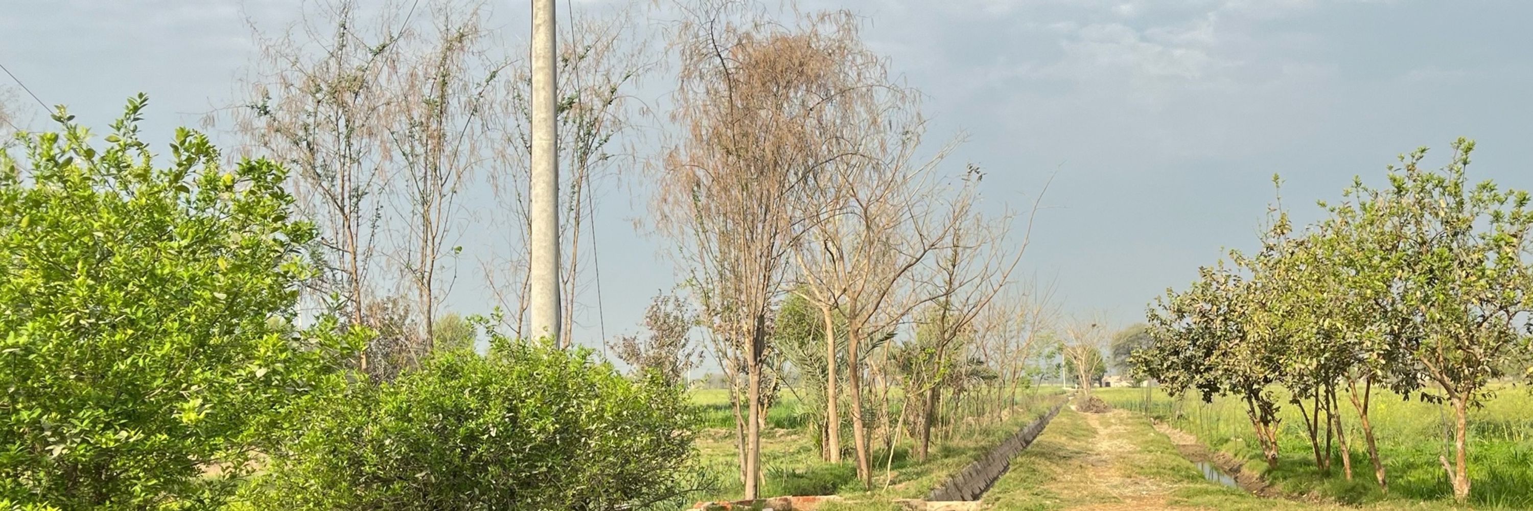 Rana Fakhar85