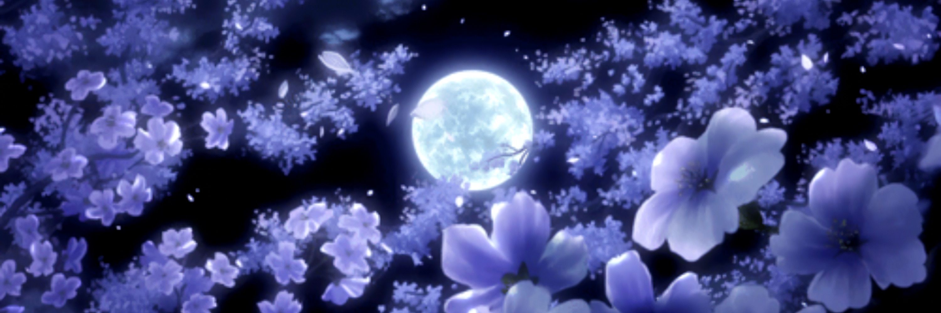 🌙 𝓡𝓪𝓿𝓮𝓷🏳️‍⚧️