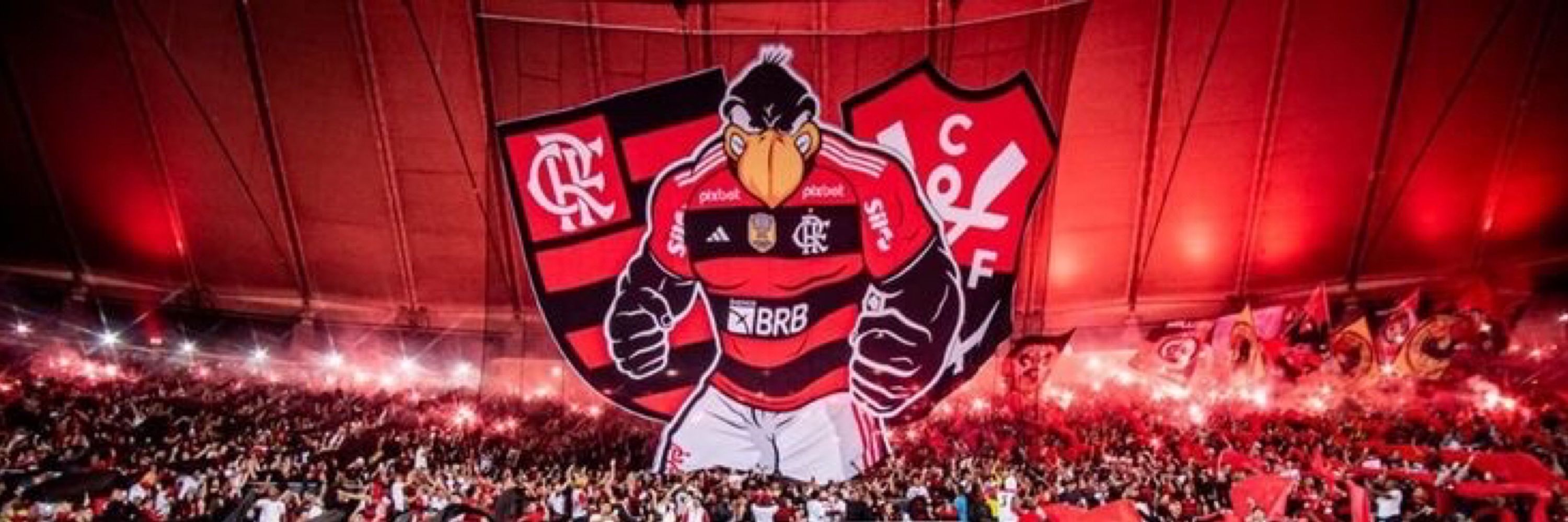 koee_tg