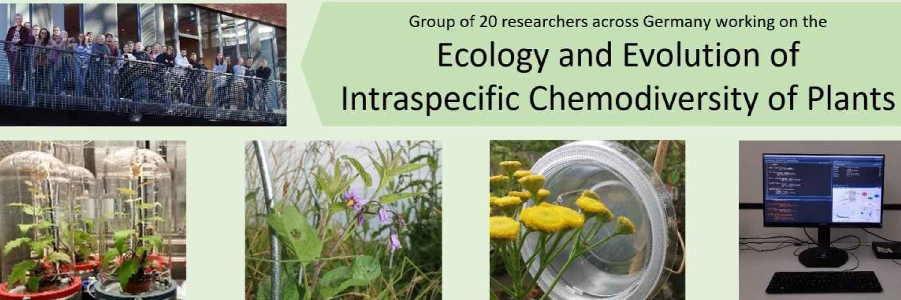 Research Unit on Chemodiversity of Plants