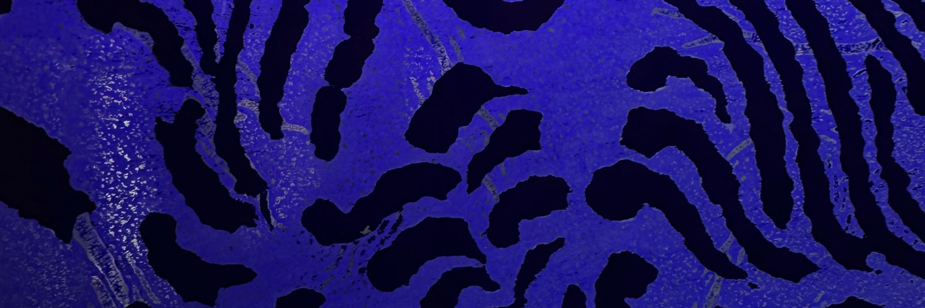 ⧾ 𝖂𝖆𝖑𝖗𝖚𝖘 ⧾