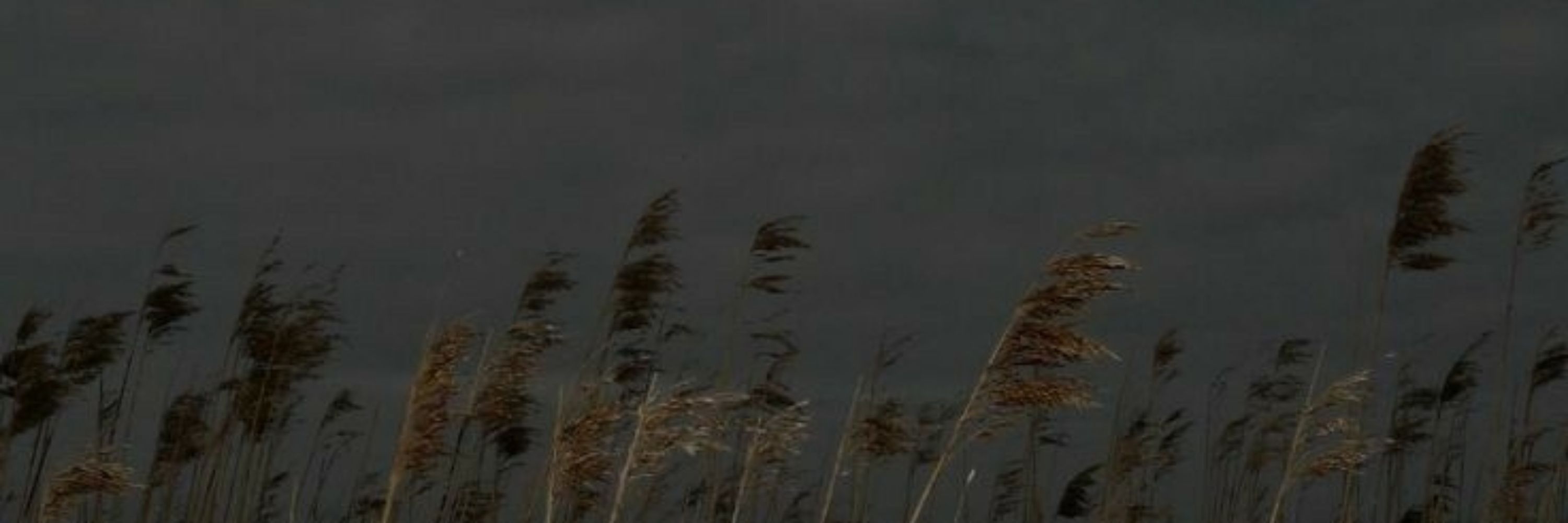 synodic crescendo