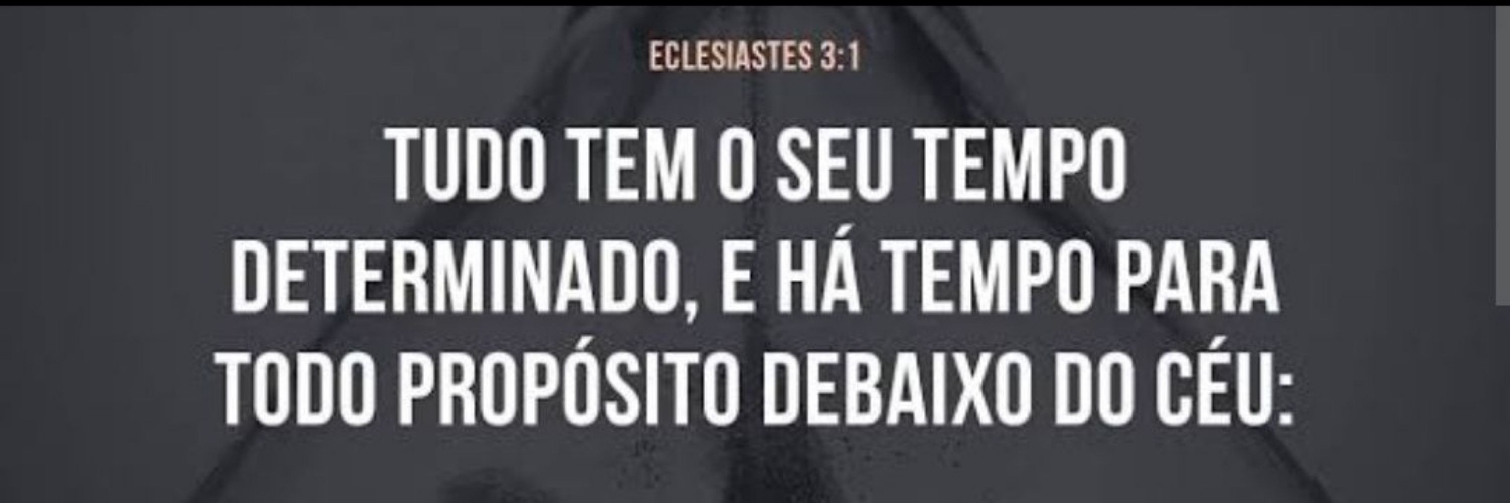 O mundo é um moinho 