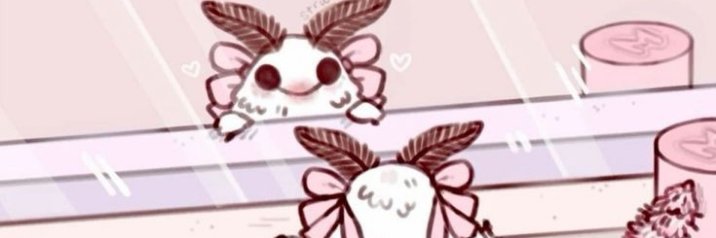 Luna 🌸🦋🤍