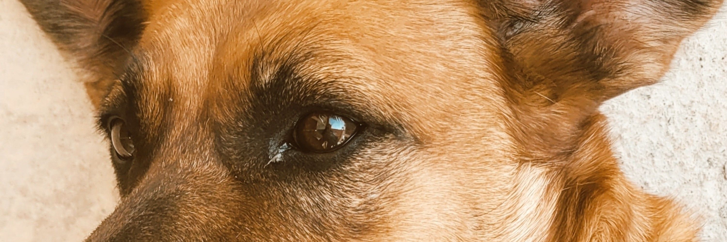 lua