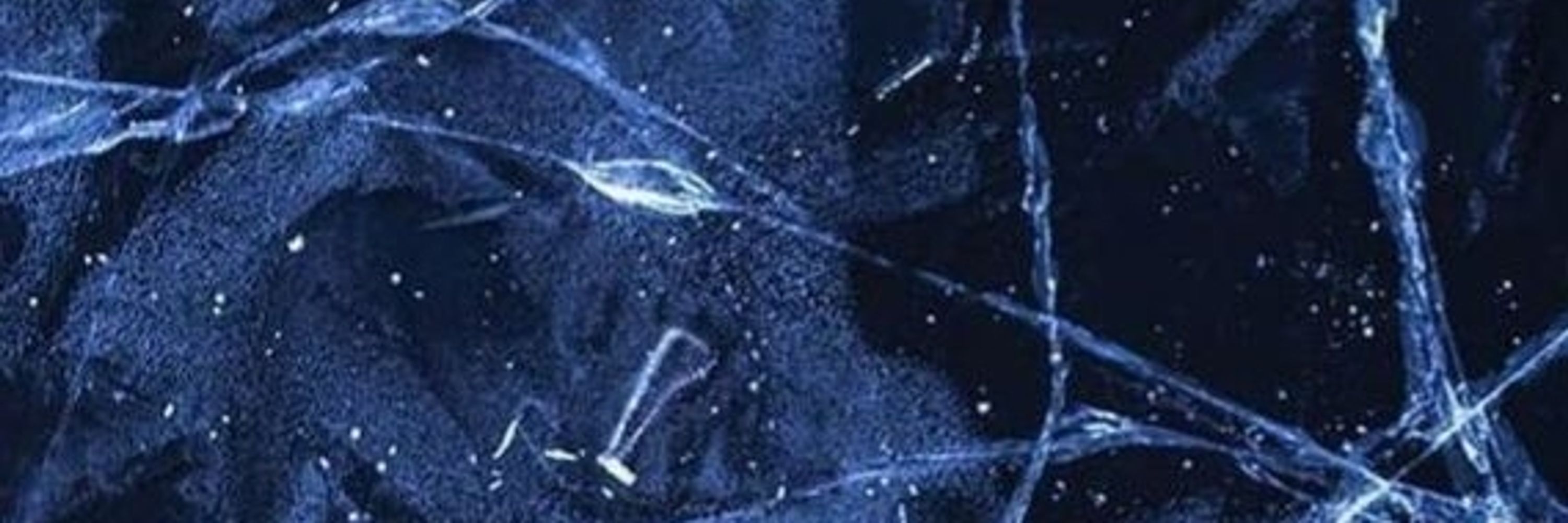 FROSTBITE