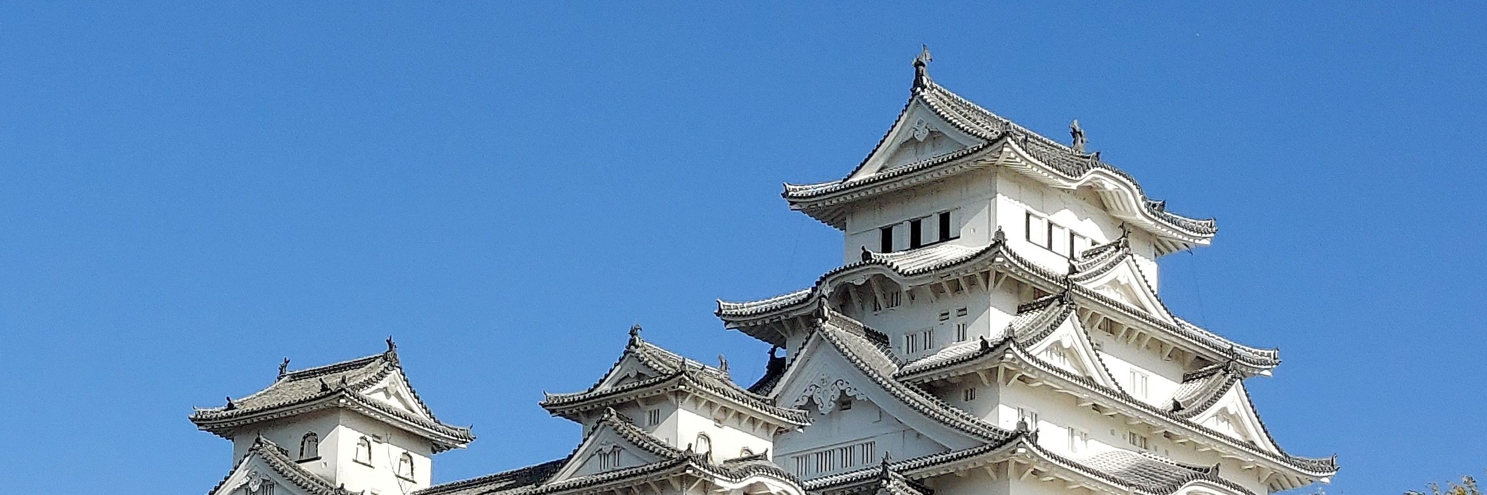 かしわぎ