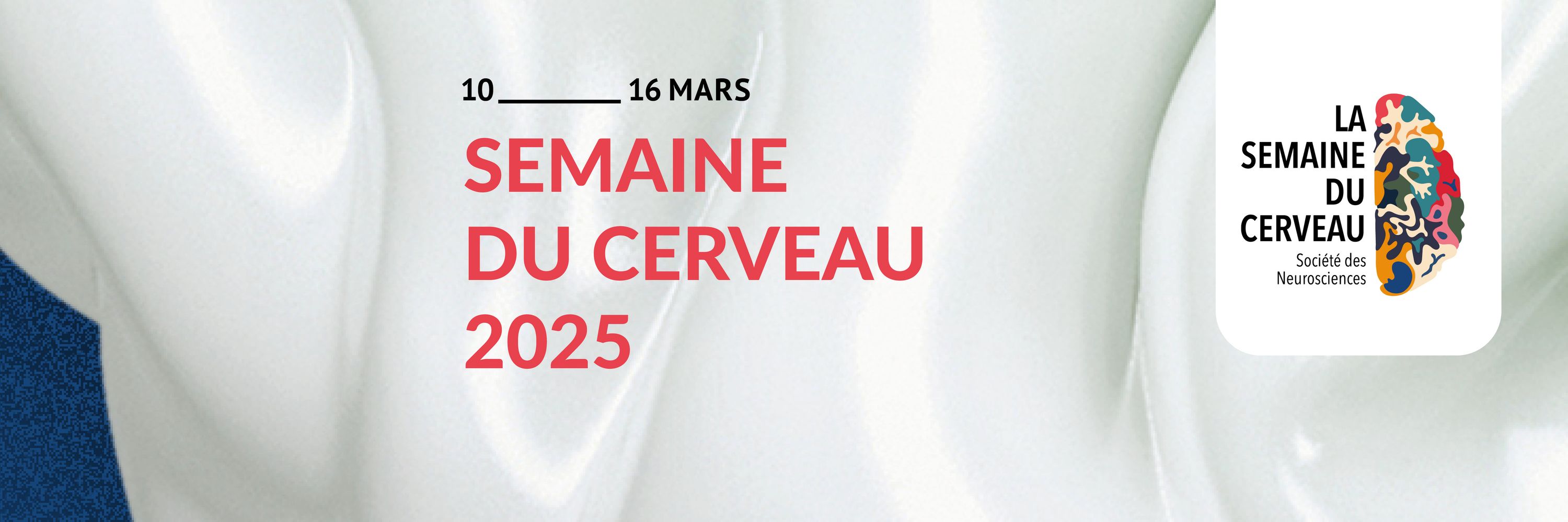 Semaine du Cerveau