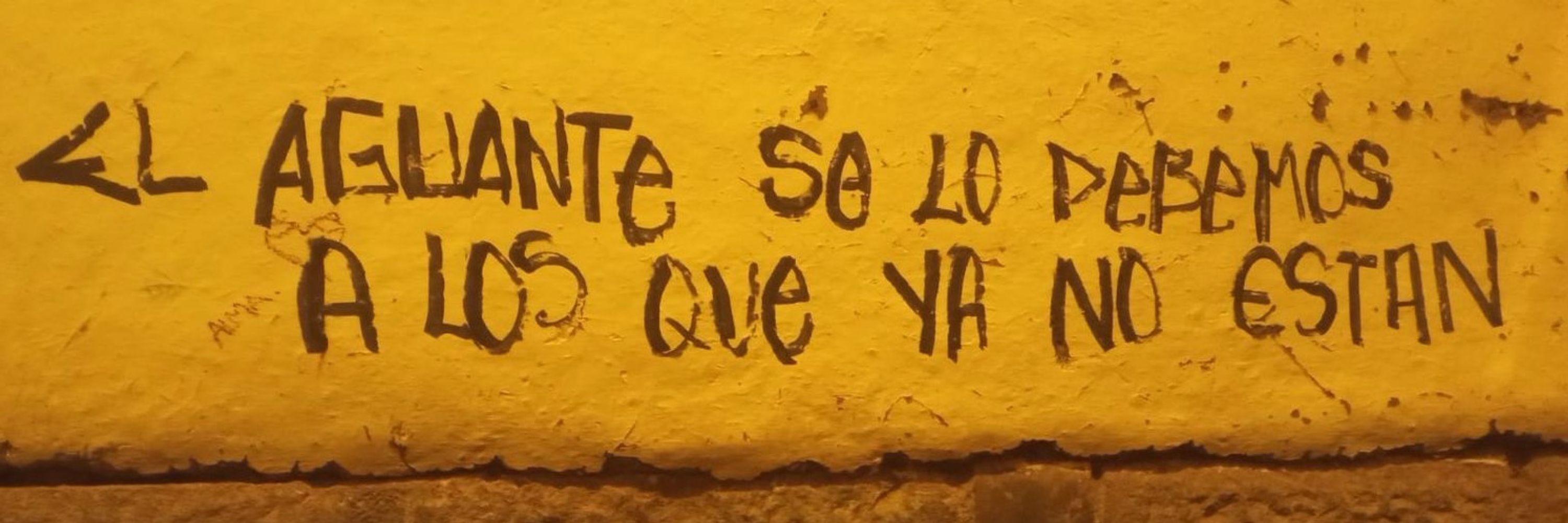 adrian leon 🍃
