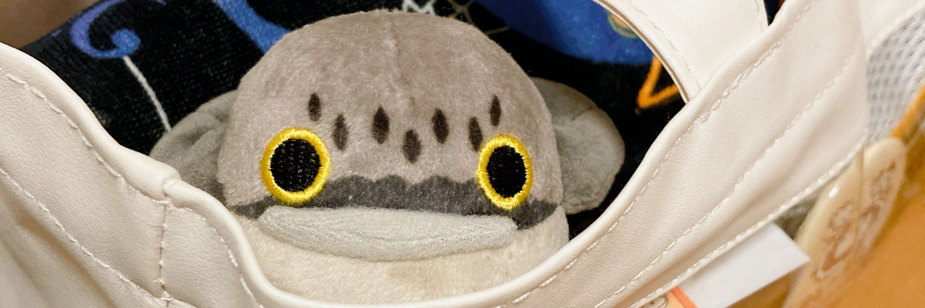 星型クッキー