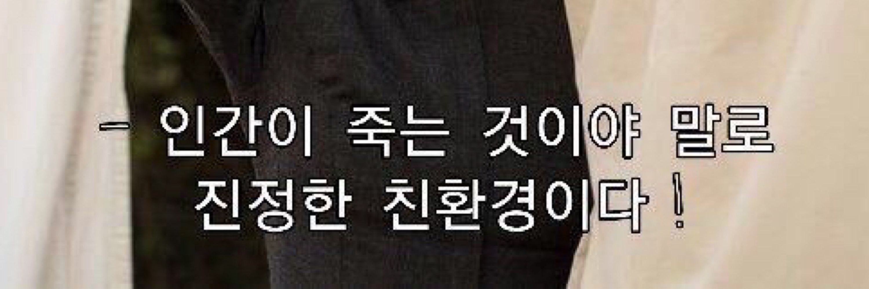 백장미