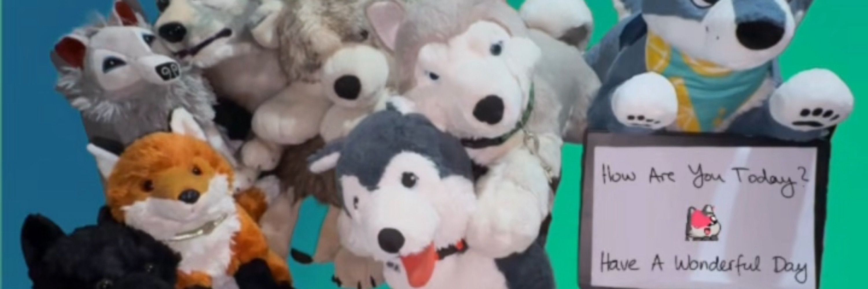 Plushie Fun