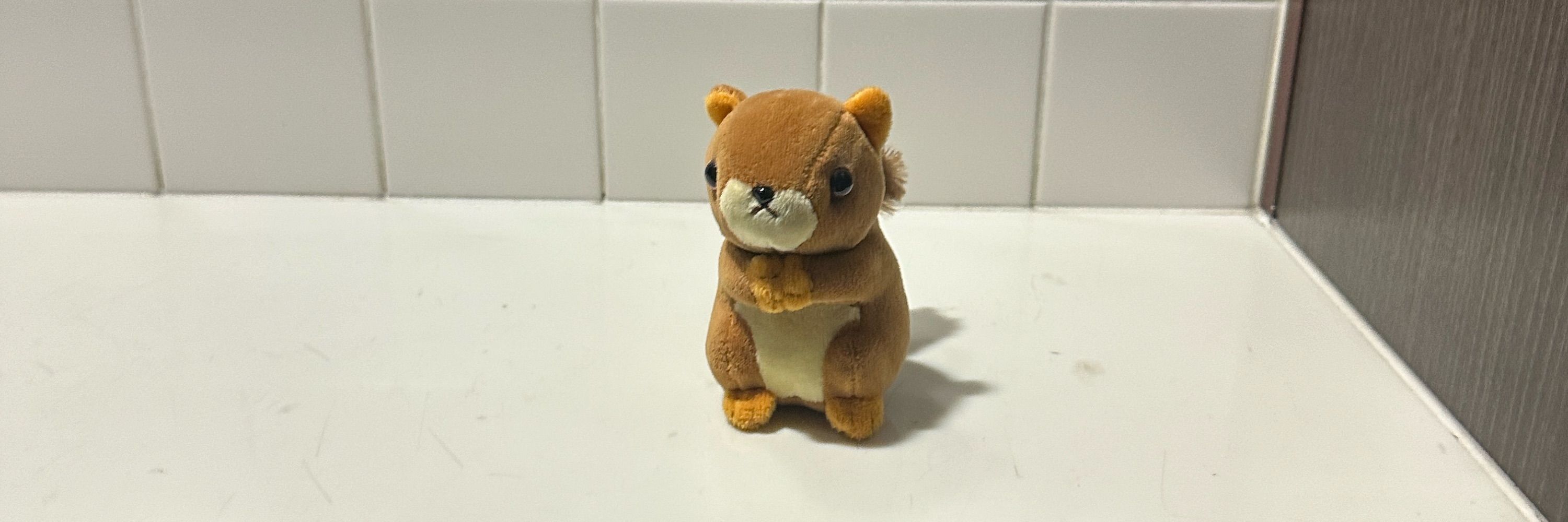 つばさ(卒アル)