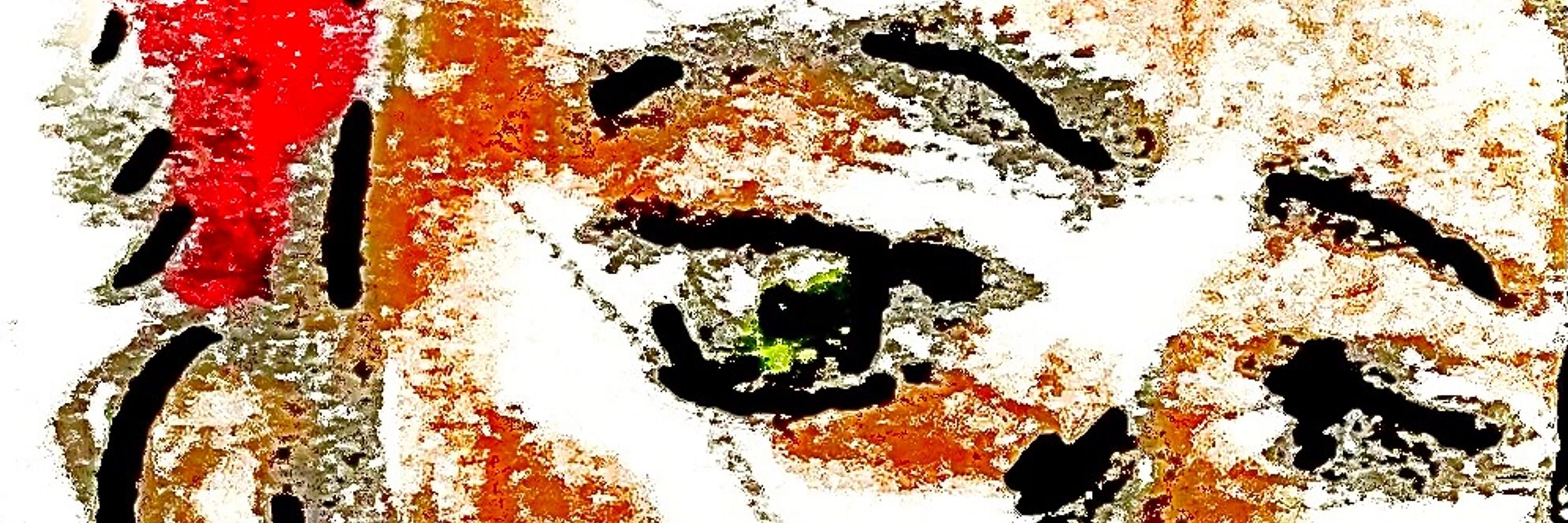 acidoro 