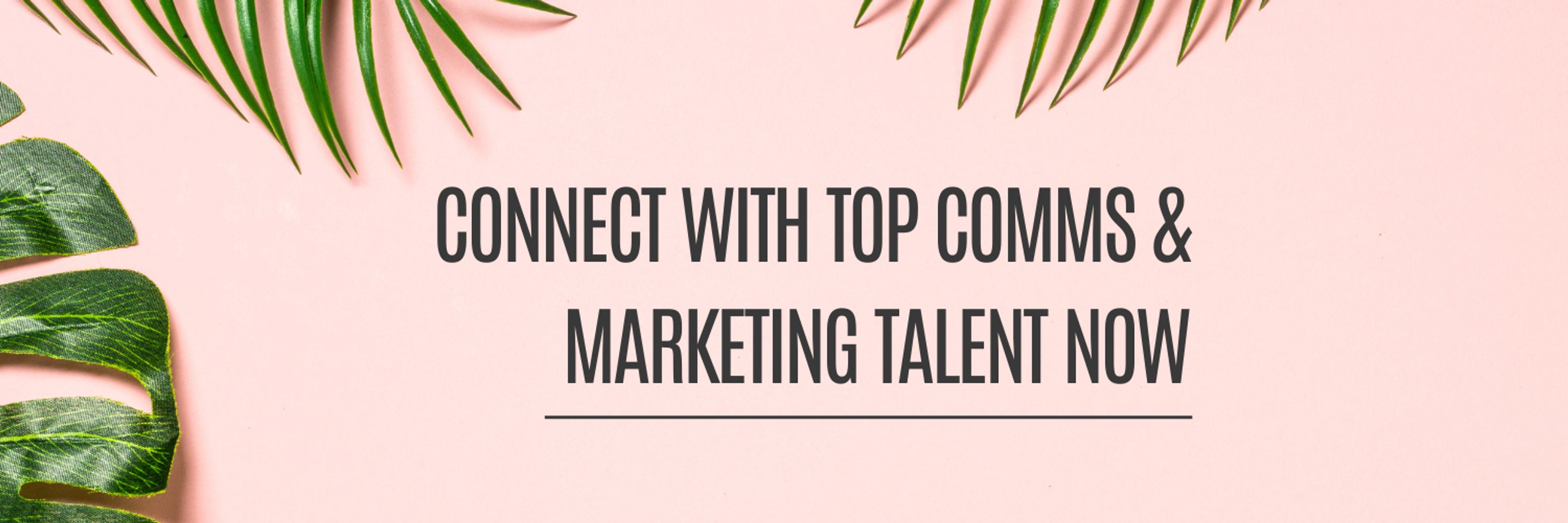 Ashley Dennison  |  Founder & CEO  |  CommsConsultants.com