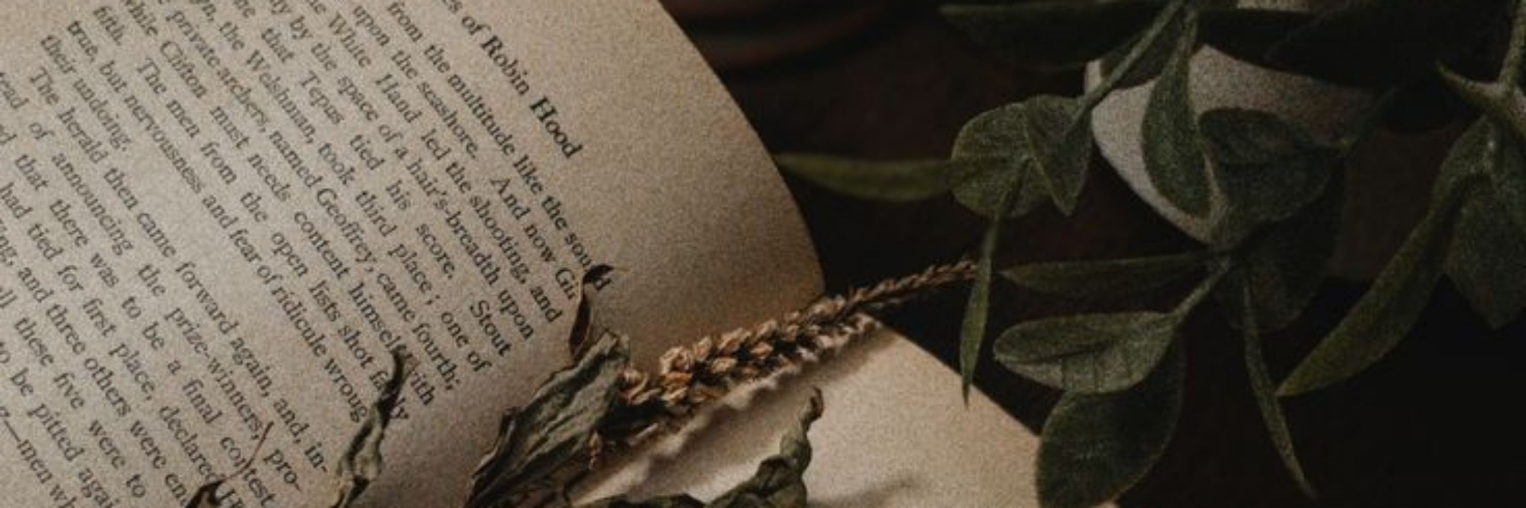 anne | 📖: a caçada real