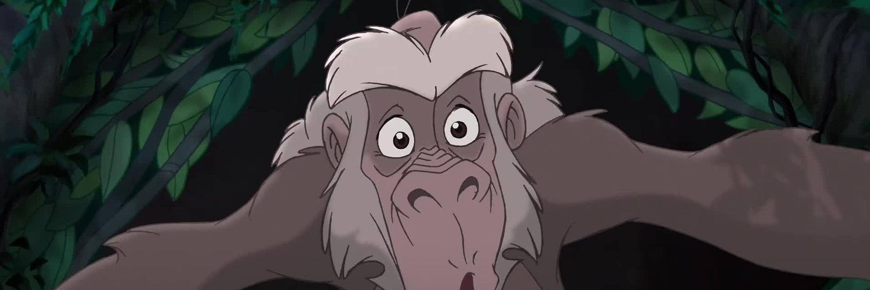 Zuugoor