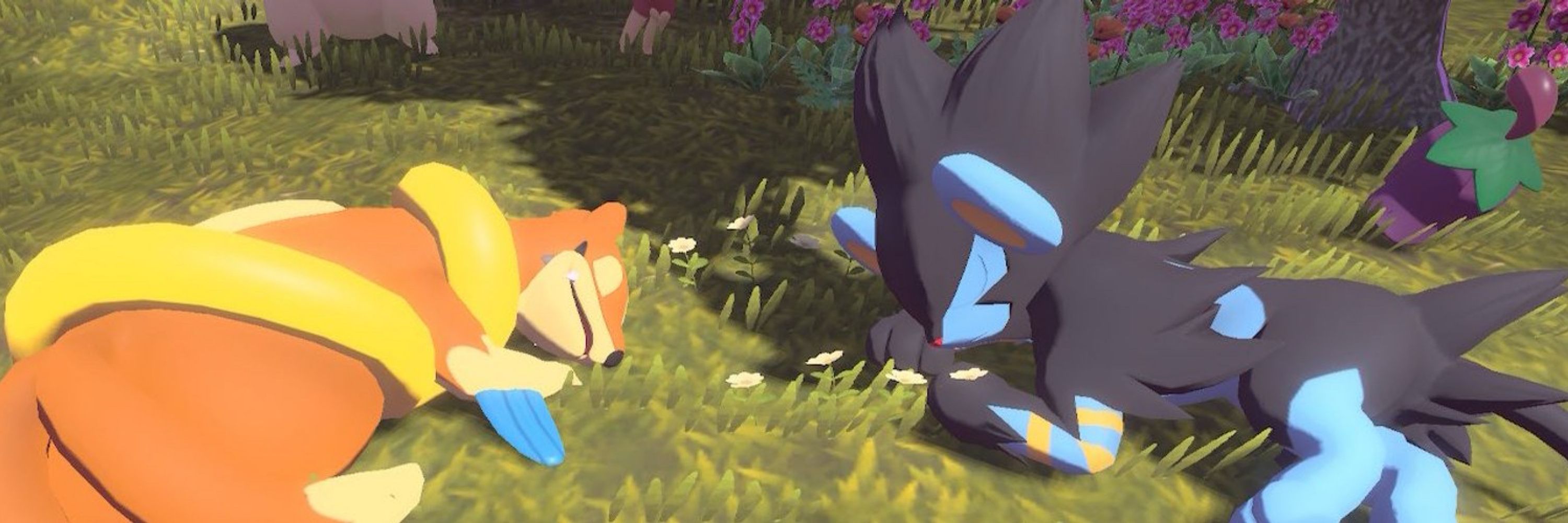 キト