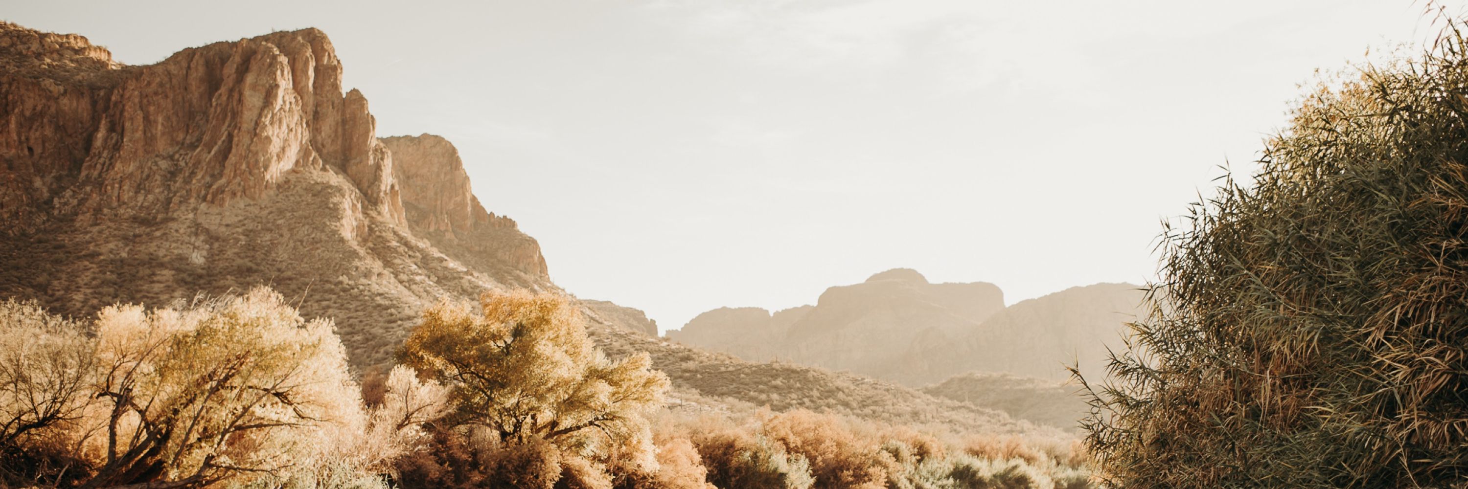 Shelby Vercelli, Arizona Photographer